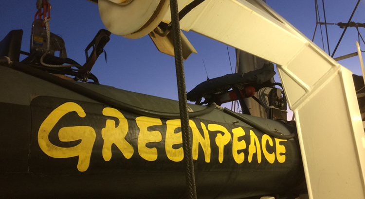 greenpeace7541
