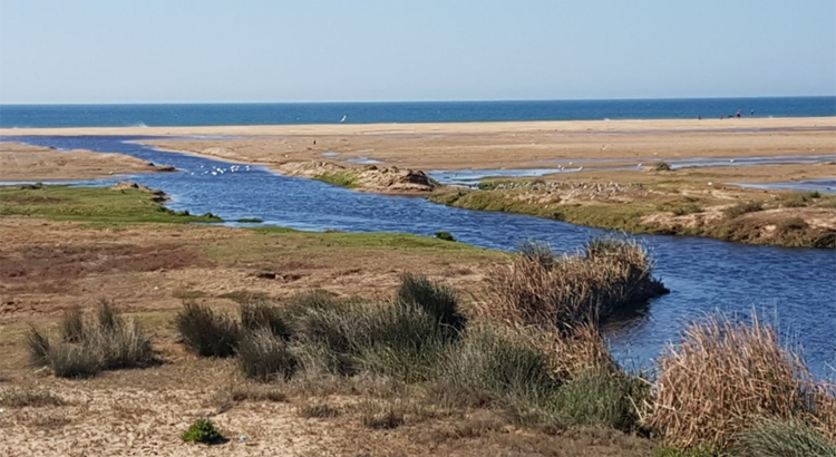 La plage polluée de Jbila au sud de Tanger
