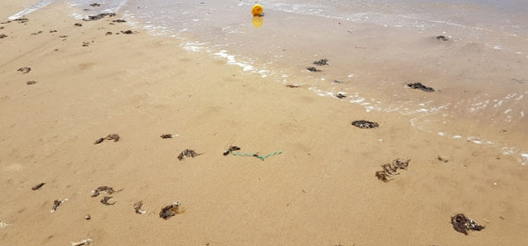 Les plages à éviter cet été au Maroc. Jbila à Tanger…