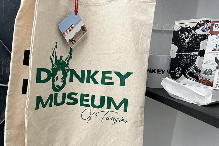 tanger-experience - le web magazine de Tanger - Ouverture du Donkey Museum de Tanger
