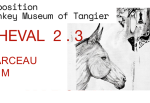 Marceau VM présente  CHEVAL 2.3  au Donkey Museum.