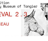Marceau VM présente  CHEVAL 2.3  au Donkey Museum.