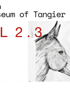 Marceau VM présente  CHEVAL 2.3  au Donkey Museum.