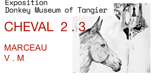 Marceau VM présente  CHEVAL 2.3  au Donkey Museum.